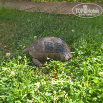 фото из отзыва ID 1790544