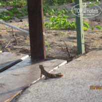 фото из отзыва ID 1790700