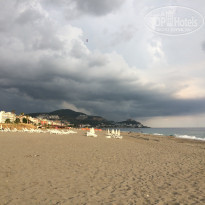 фото из отзыва ID 1790743