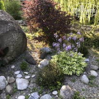 фото из отзыва ID 1790858