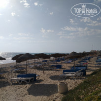 фото из отзыва ID 1790879