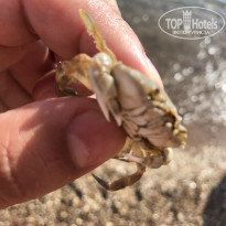 фото из отзыва ID 1790746