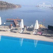 фото из отзыва ID 1791107