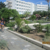 фото из отзыва ID 1791176