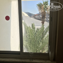 фото из отзыва ID 1791192