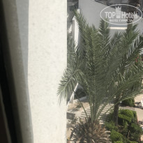 фото из отзыва ID 1791192