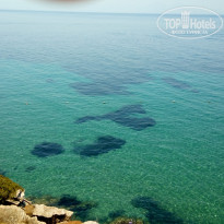 фото из отзыва ID 1791212