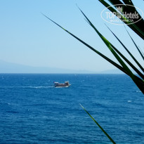 фото из отзыва ID 1791212