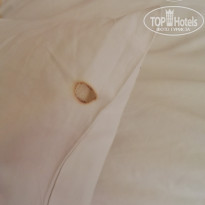 фото из отзыва ID 1791343