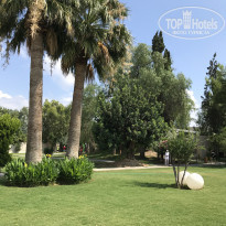 фото из отзыва ID 1791423