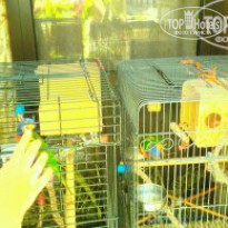 фото из отзыва ID 1791452