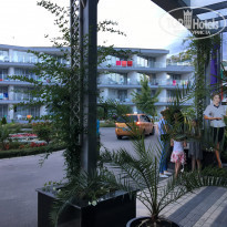 фото из отзыва ID 1791558