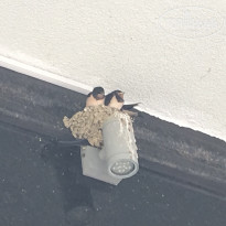 фото из отзыва ID 1791558