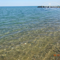 фото из отзыва ID 1791485