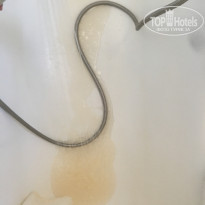 фото из отзыва ID 1791843