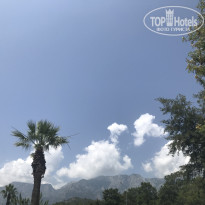 фото из отзыва ID 1791855