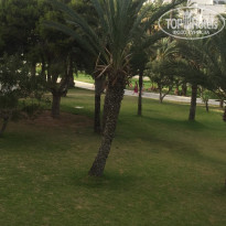 фото из отзыва ID 1791862