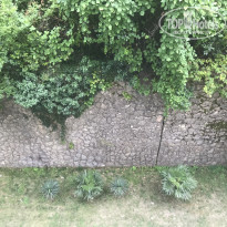 фото из отзыва ID 1791893