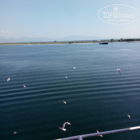 фото из отзыва ID 1792042