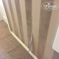 фото из отзыва ID 1792286