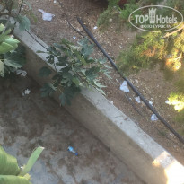 фото из отзыва ID 1792286