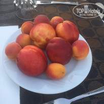 фото из отзыва ID 1792286