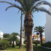 фото из отзыва ID 1792478