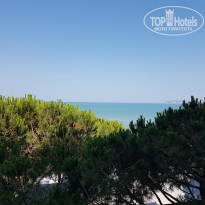 фото из отзыва ID 1792498