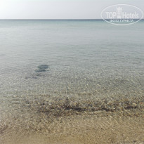 фото из отзыва ID 1792639