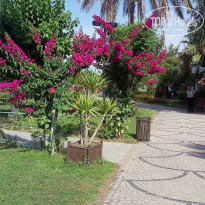 фото из отзыва ID 1792705