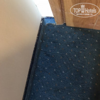 фото из отзыва ID 1792719