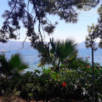 фото из отзыва ID 1792723