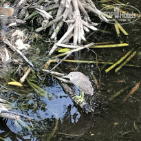 фото из отзыва ID 1792810