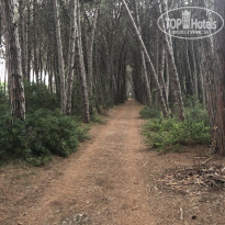 фото из отзыва ID 1792826