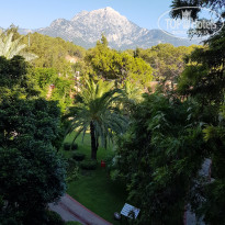 фото из отзыва ID 1792949