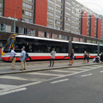 фото из отзыва ID 1792972