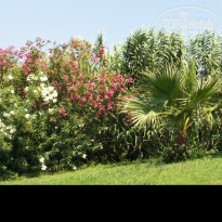 фото из отзыва ID 1793175