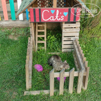 фото из отзыва ID 1793175