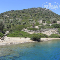 фото из отзыва ID 1793202