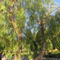 фото из отзыва ID 1793202