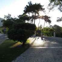 фото из отзыва ID 1793202