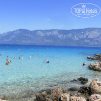 фото из отзыва ID 1793202