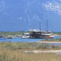 фото из отзыва ID 1793202