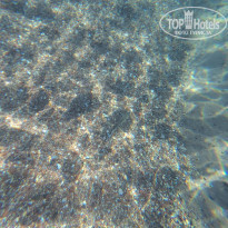 фото из отзыва ID 1793202