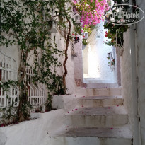 фото из отзыва ID 1793202