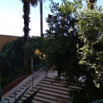 фото из отзыва ID 1793295