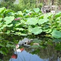 фото из отзыва ID 1793203