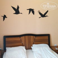 фото из отзыва ID 1793377