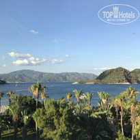 фото из отзыва ID 1793424