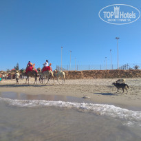 фото из отзыва ID 1793435